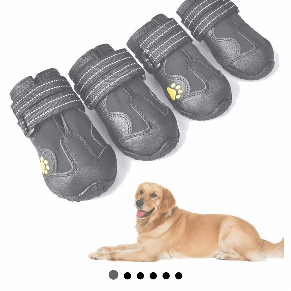 New dog shoes